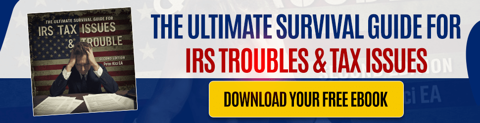 Ultimate Guide to IRS tax issues and troubles